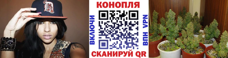 Магазин наркотиков Юрьев-Польский Каннабис  Метамфетамин  Галлюциногенные грибы  Alpha PVP  Мефедрон  hydra вход  КОКАИН  Гашиш 