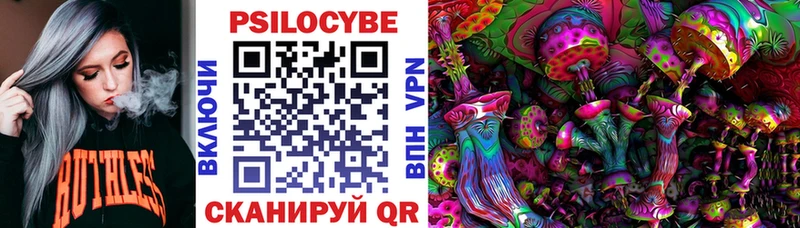 Галлюциногенные грибы Magic Shrooms где купить Юрьев-Польский