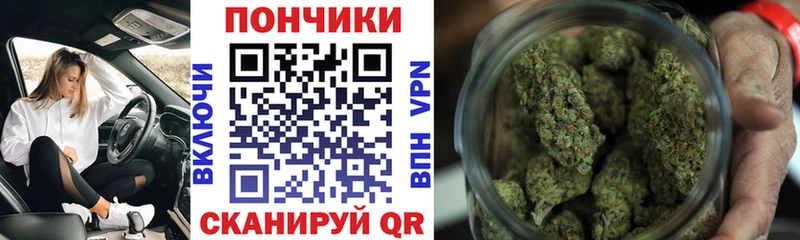 Шишки марихуана конопля  как найти наркотики  kraken зеркало  Юрьев-Польский 